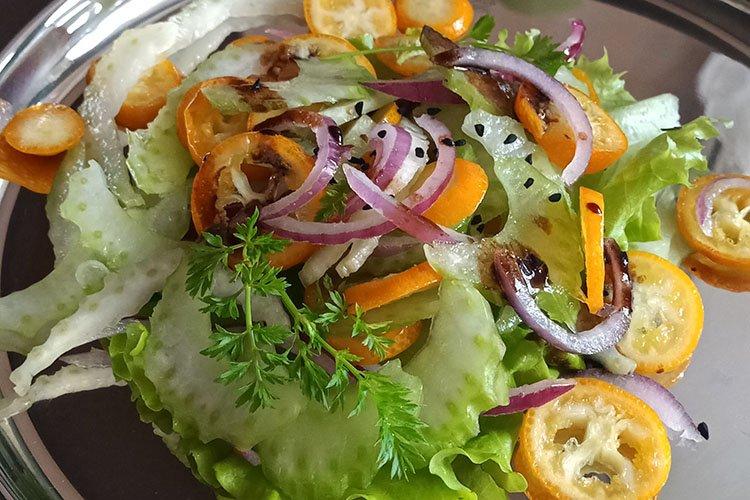 Salat mit Sellerie und roten Zwiebeln