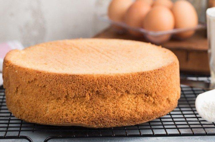 Hot Milk Sponge Cake