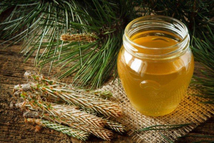 Homemade Pine Needle Lemonade