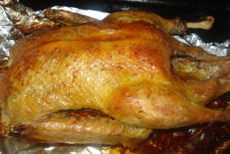Pato asado en mayonesa