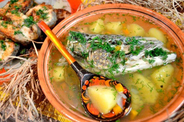 Fischsuppe vom Hecht