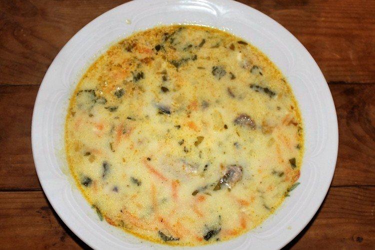 Käsesuppe mit Fischkonserven