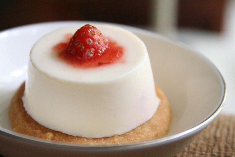 Panna Cotta with Condensed Milk