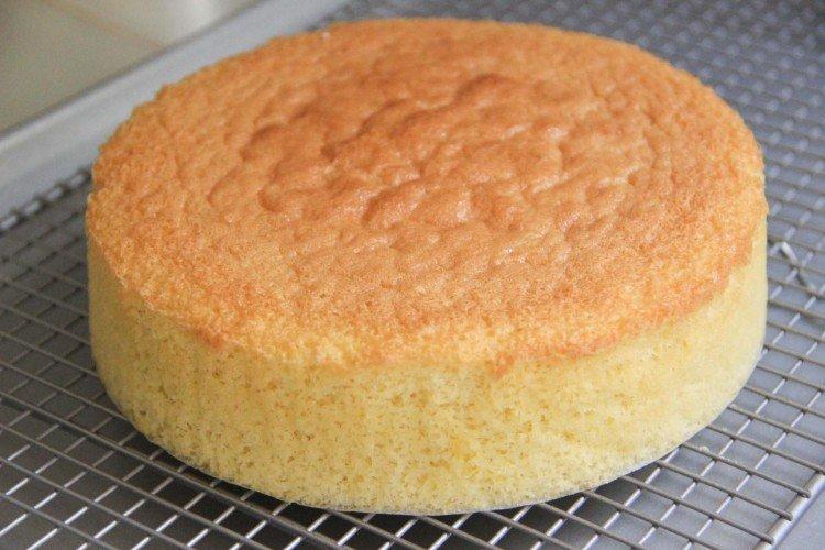 White Chocolate Sponge Cake