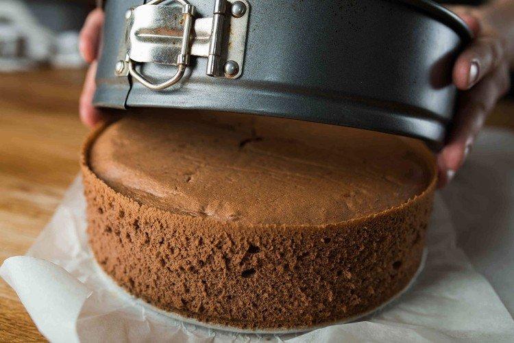Chocolate Sponge Cake with Coffee