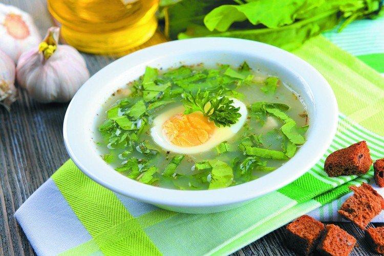 Sopa de pollo, fideos y acedera