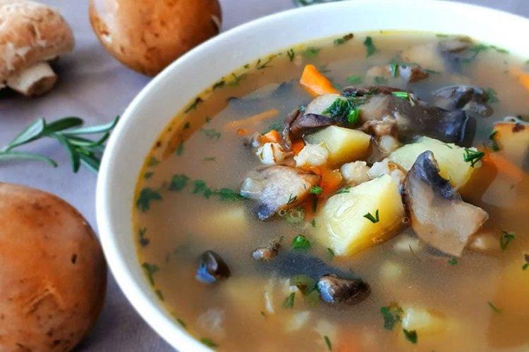 Sopa de champiñones con cebada perlada y crema agria
