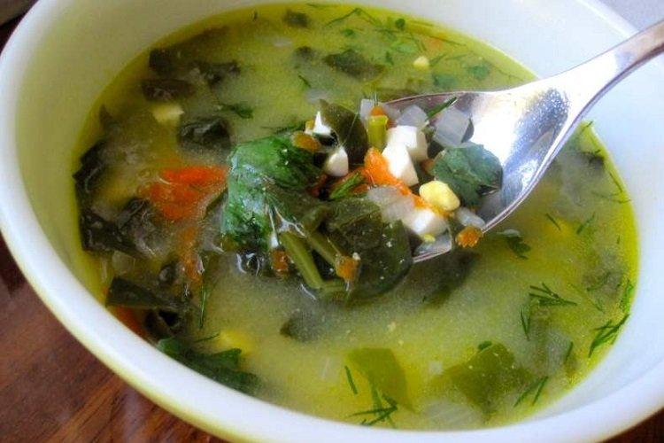 Borscht verde con pollo