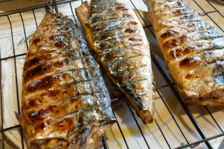 Gebackene Makrele in Mayonnaise
