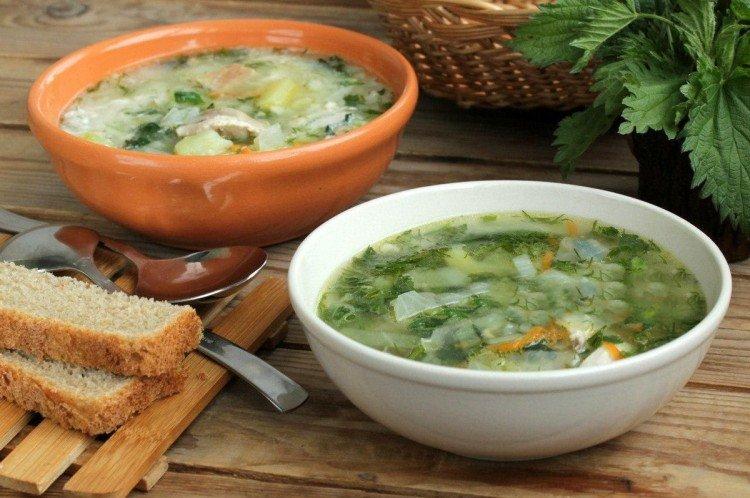 Suppe mit Huhn und Brennnesseln