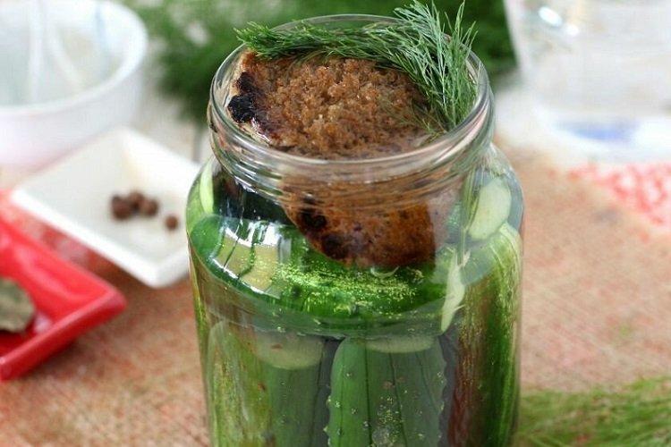 Hungarian-Style Lightly Salted Cucumbers