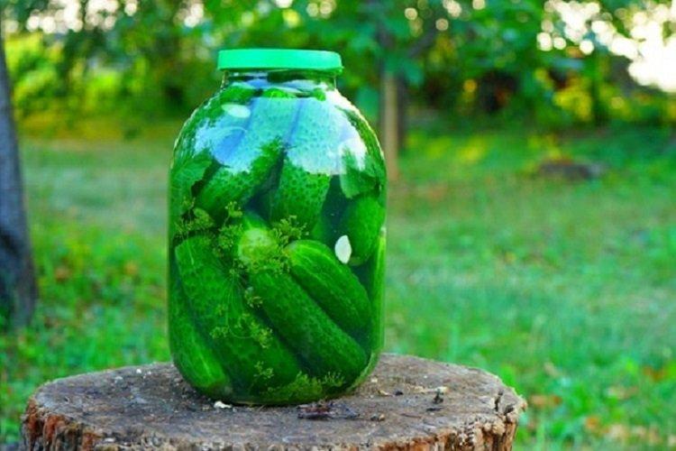 Quick Lightly Salted Cucumbers in a Jar