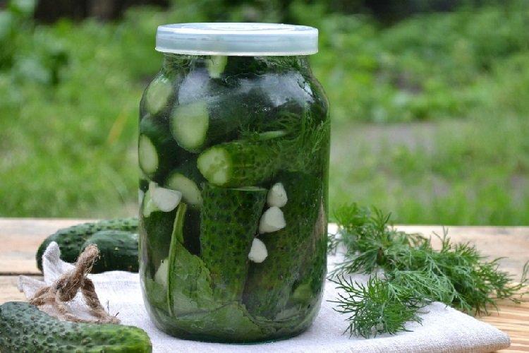 Lightly Salted Cucumbers According to an Old Recipe