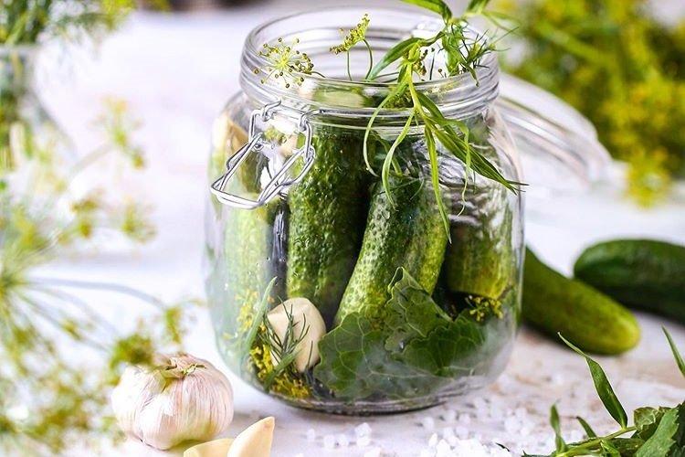 Lightly Salted Cucumbers with Mineral Water