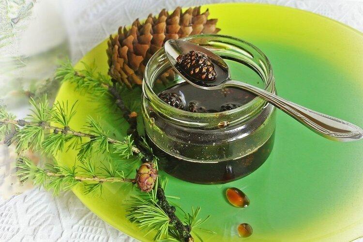 Pine Cone Jam with Mint