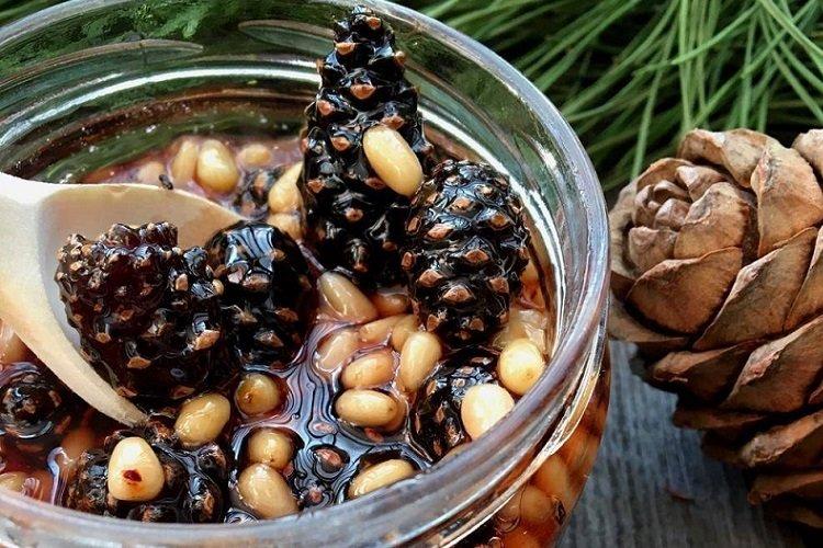 Pine Cone Jam with Pine Nuts