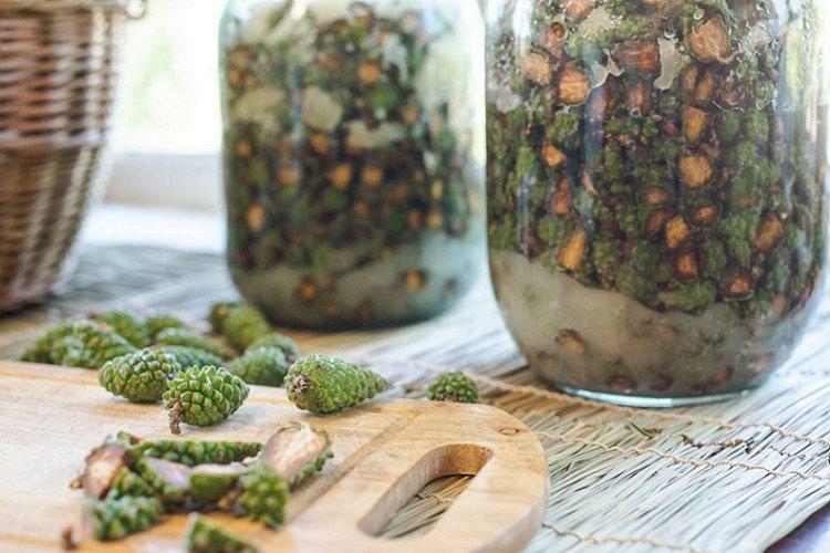 No-Cook Pine Cone Jam