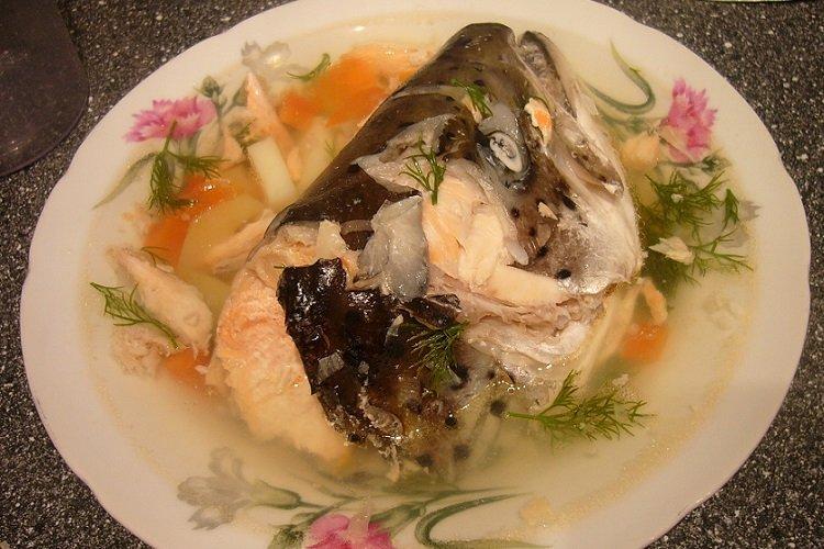 Suppe aus Lachs-Kopf, -Rücken und -Schwanz