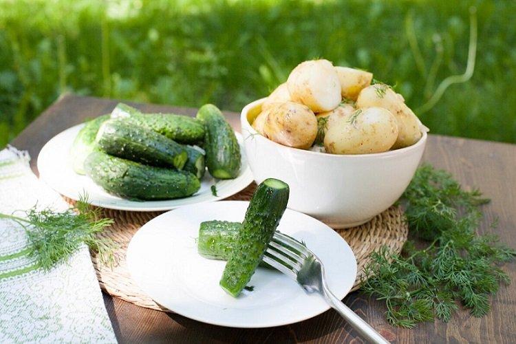 Einfaches Rezept für leicht gesalzene Gurken im Beutel