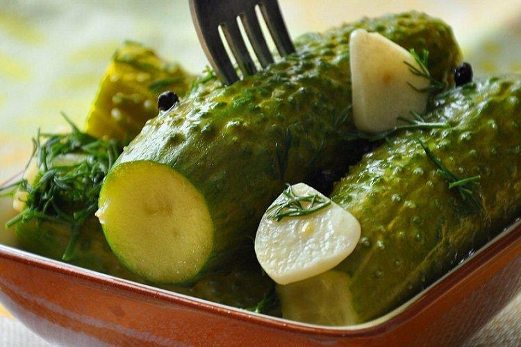 Leicht gesalzene Gurken mit Brot im Beutel