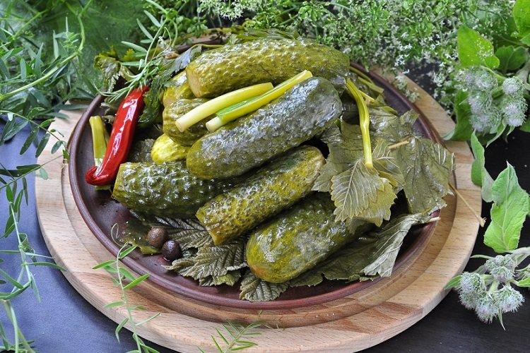 Leicht gesalzene Gurken mit aromatischen Blättern im Beutel