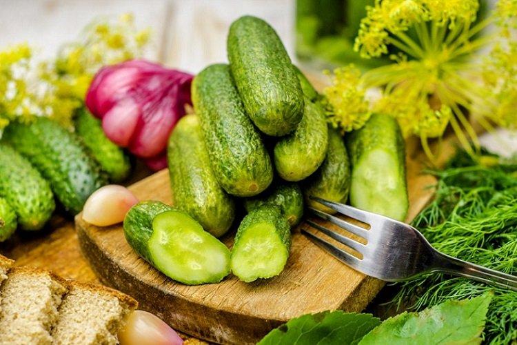Leicht gesalzene Gurken mit Essig im Beutel