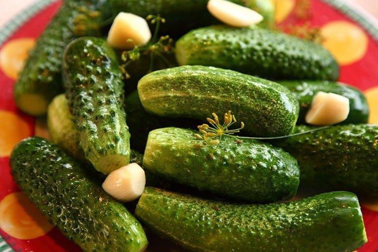 Aromatische leicht gesalzene Gurken
