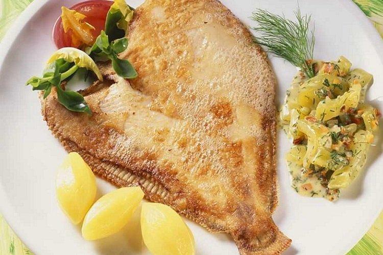 Steinbutt mit Sauerrahm aus dem Ofen