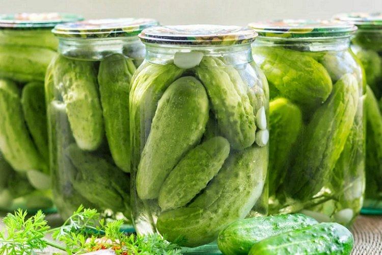 Crunchy Cucumbers for Winter