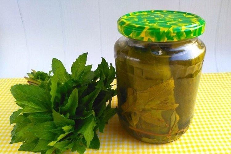 Salted Cucumbers with Mint