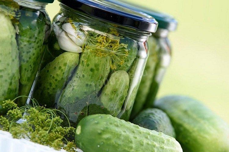 Lightly Salted Cucumbers without Vinegar