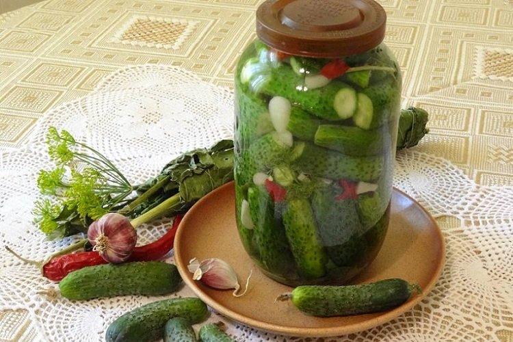 Spicy Lightly Salted Cucumbers