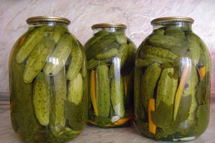 Pepinos crujientes sin vinagre