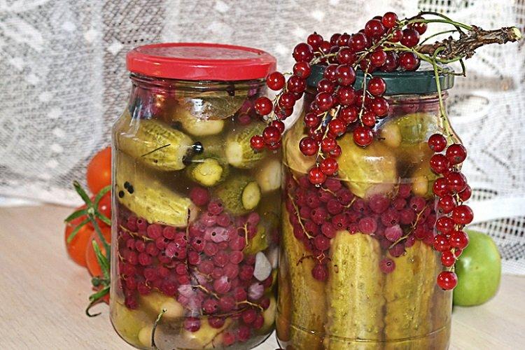 Pepinos con grosella roja para el invierno
