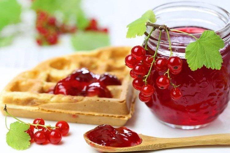 Redcurrant Jelly Jam