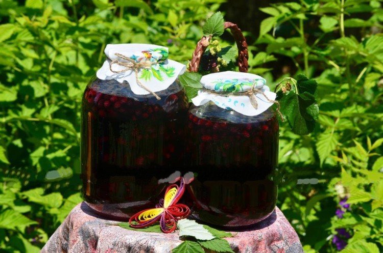 Honeysuckle Compote with Lemon for Winter