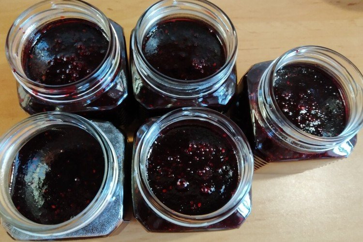Honeysuckle Jam with Fructose