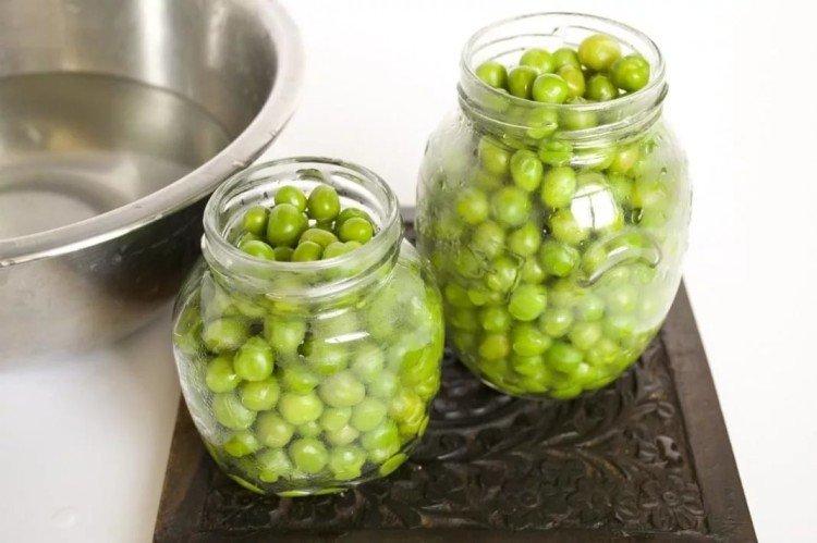 Preparación de guisantes para el invierno