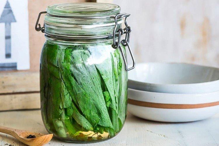 Preparación de ajo silvestre para el invierno