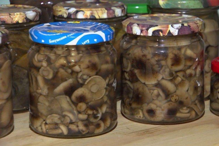 Setas de miel encurtidas para el invierno
