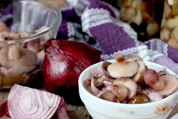 Marinated Slippery Jacks