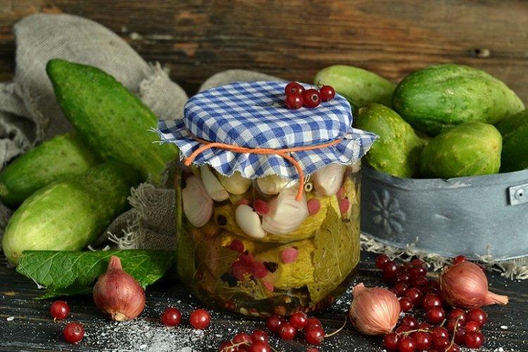 Gurken, eingelegt mit roten Johannisbeeren
