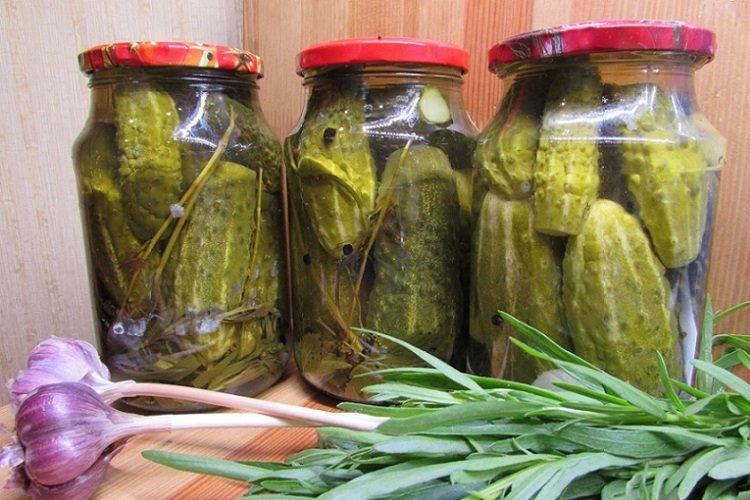 Eingelegte Gurken mit geriebenem Meerrettich und Estragon