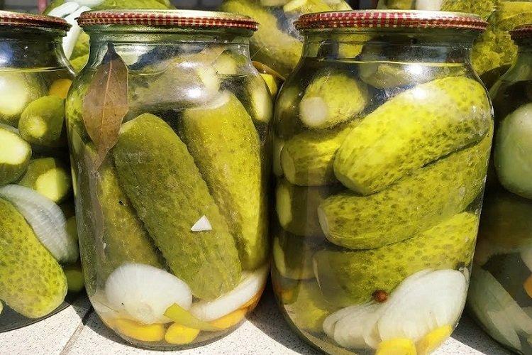 Eingelegte Gurken nach bulgarischer Art