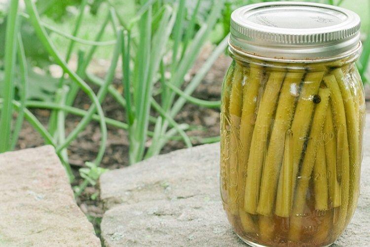 Eingelegte Knoblauchstiele mit Senf