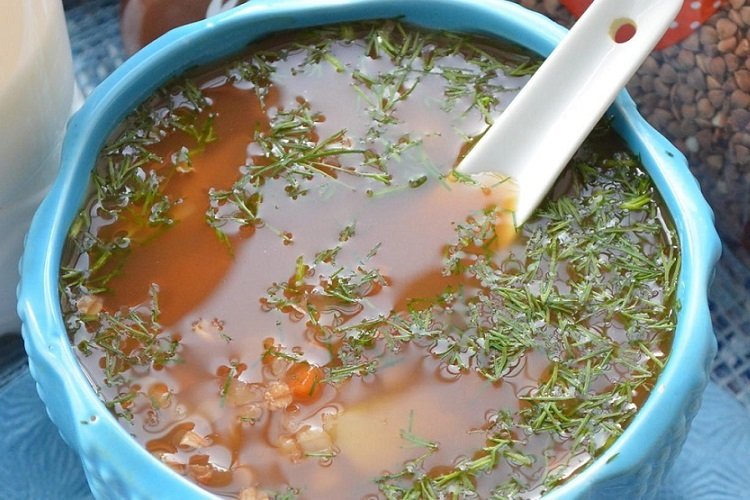 Sopa de verduras con trigo sarraceno y kvas