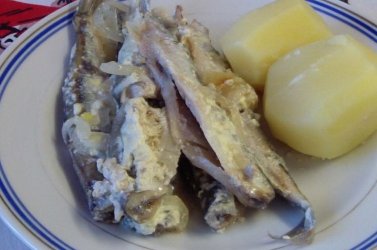 Gedünstete Sprotte mit Zwiebeln