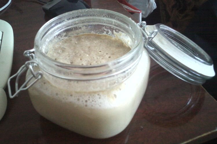 Hop Sourdough Starter for Bread