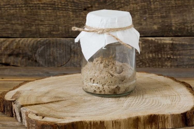 Kefir Sourdough Starter for Bread