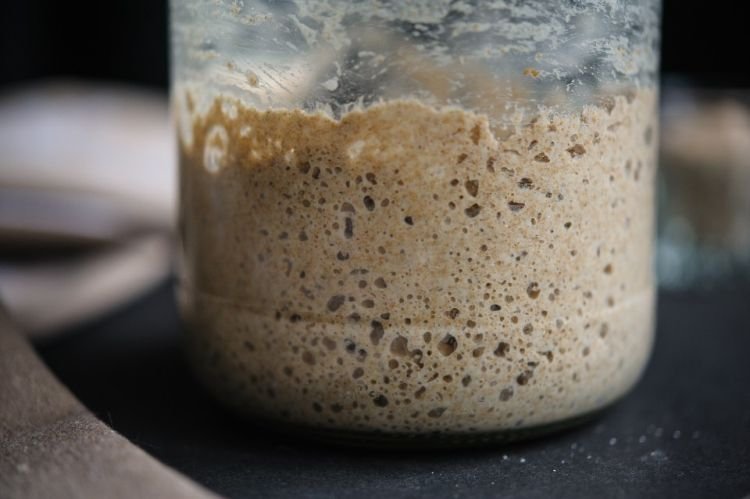 Barley Flour Sourdough Starter for Bread